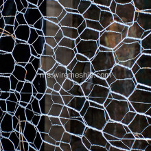 Mesh Galvanized Wire Mesh